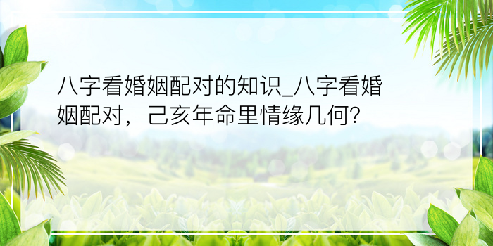 八字看婚姻配对的知识_八字看婚姻配对，己亥年命里情缘几何？