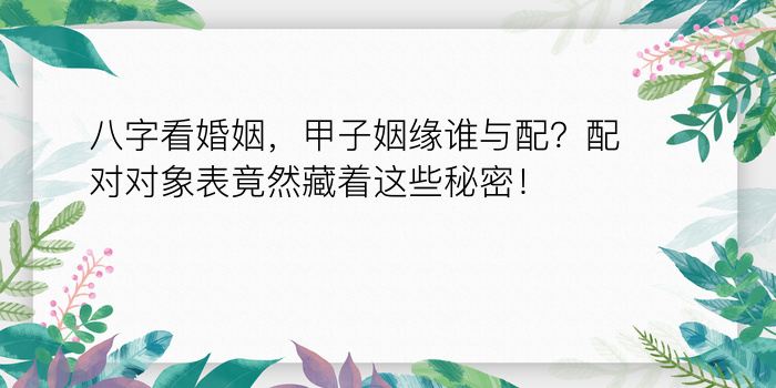 生辰八字配对合婚游戏截图