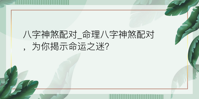 台湾八字算命游戏截图