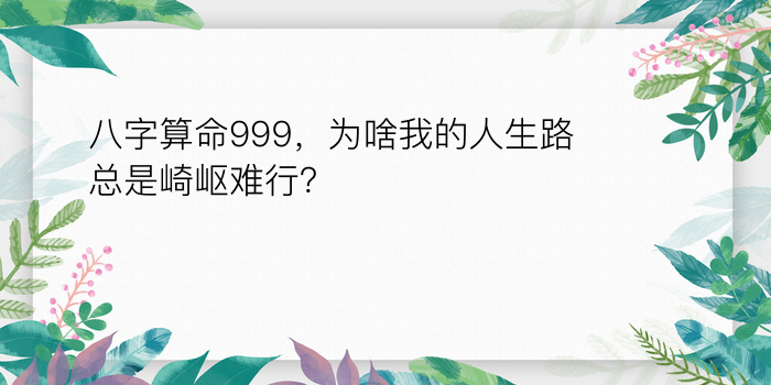 八字排运程游戏截图