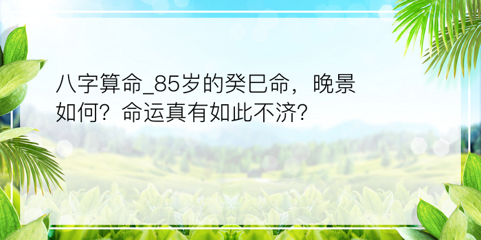 八字算命_85岁的癸巳命，晚景如何？命运真有如此不济？