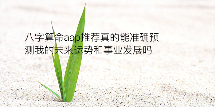 生辰八字起名字大全游戏截图