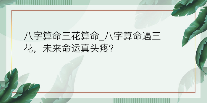 老黄历生辰八字起名游戏截图