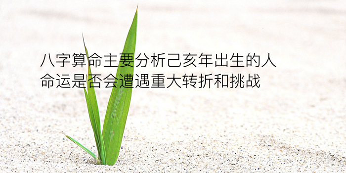 改变八字运程游戏截图