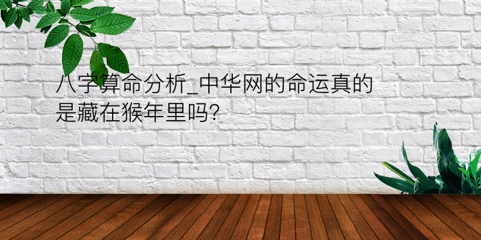 八字算命分析_中华网的命运真的是藏在猴年里吗？