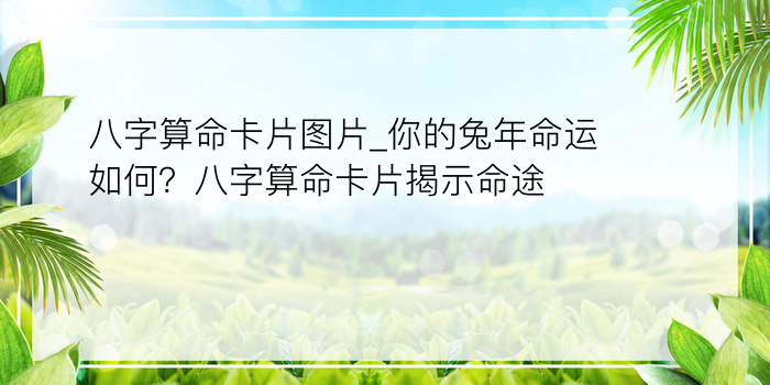 八字算命卡片图片_你的兔年命运如何？八字算命卡片揭示命途