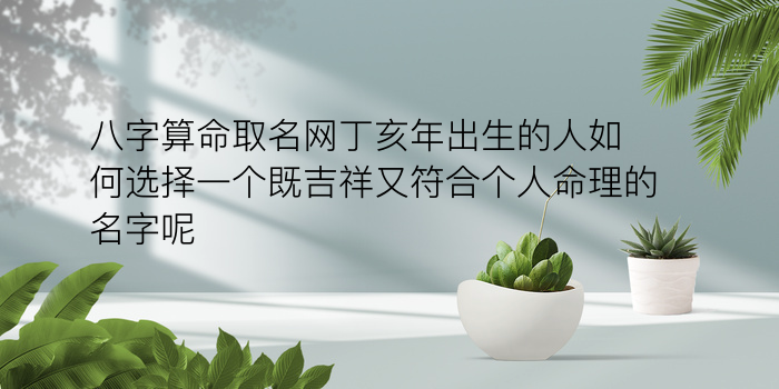 姓名八字算命游戏截图