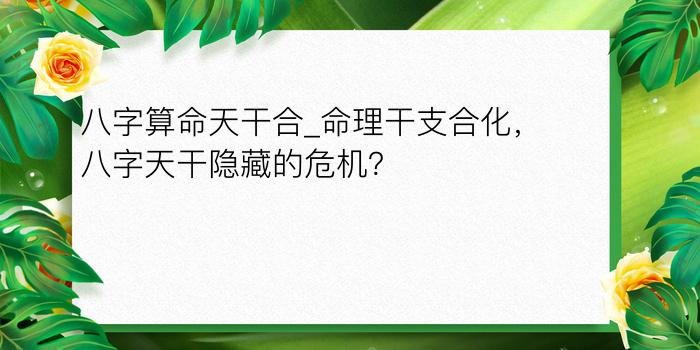 属相婚配准吗游戏截图