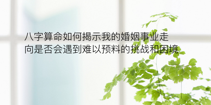 八字算命如何揭示我的婚姻事业走向是否会遇到难以预料的挑战和困境