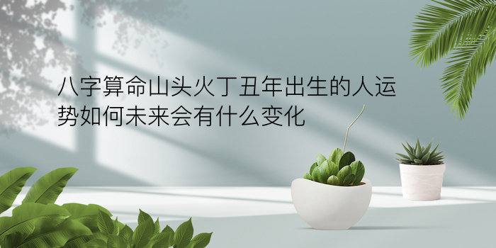 准的八字算命游戏截图