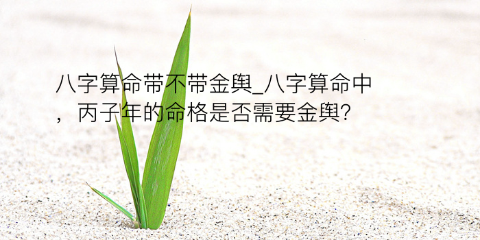 八字算命带不带金舆_八字算命中，丙子年的命格是否需要金舆？