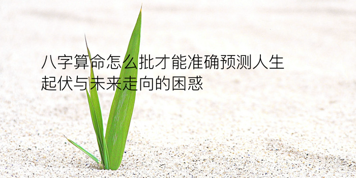 八字运程线游戏截图