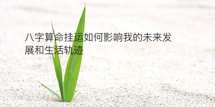 八字算命起名游戏截图