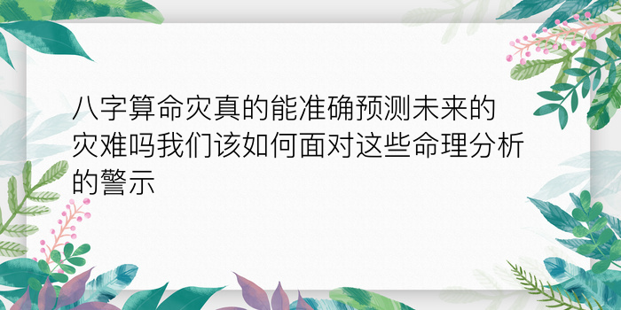 算五行八字游戏截图