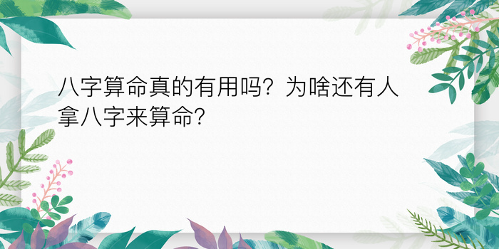 准的八字算命游戏截图