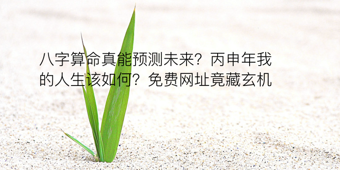 测八字算命免费游戏截图