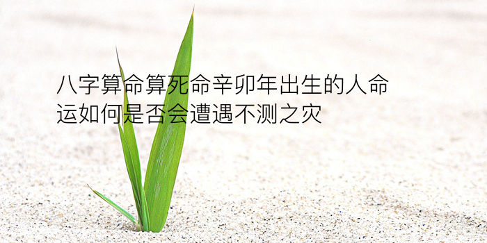 八字运程锦绣运游戏截图