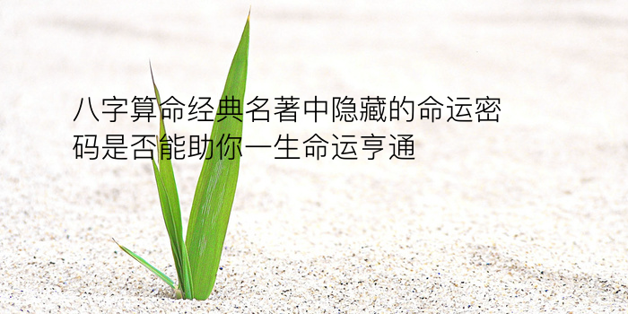 起名八字测试游戏截图