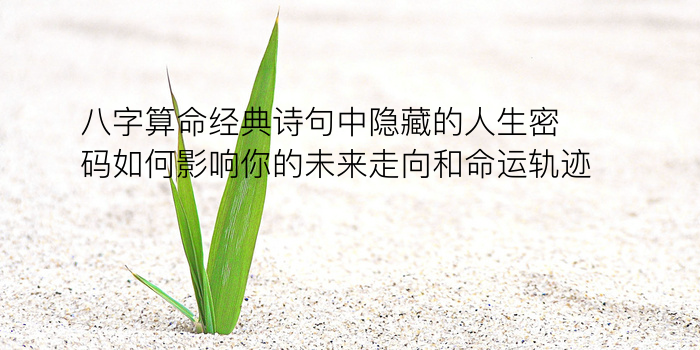 辛未八字运程游戏截图