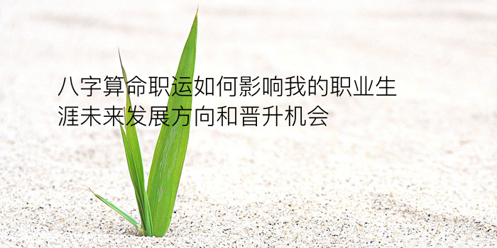 生辰八字取名字免费起名游戏截图