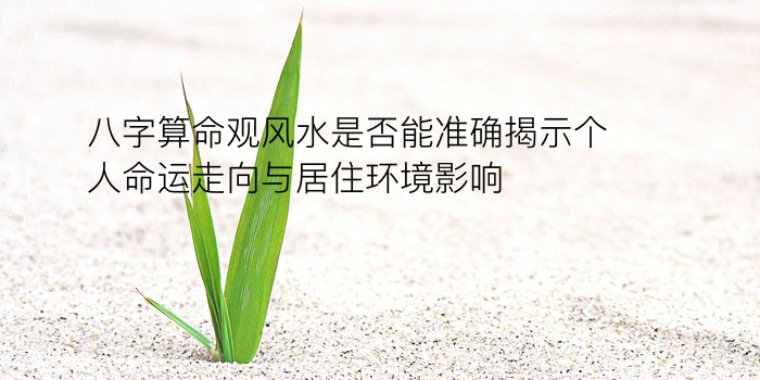 八字算命源码游戏截图