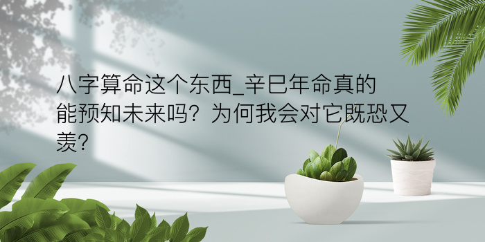 八字算命大运游戏截图