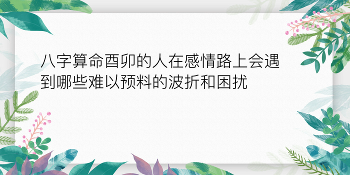 免费八字终身运程游戏截图