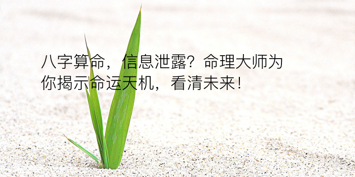 风水八字算命游戏截图