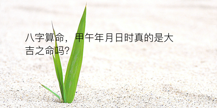 八字算命，甲午年月日时真的是大吉之命吗？