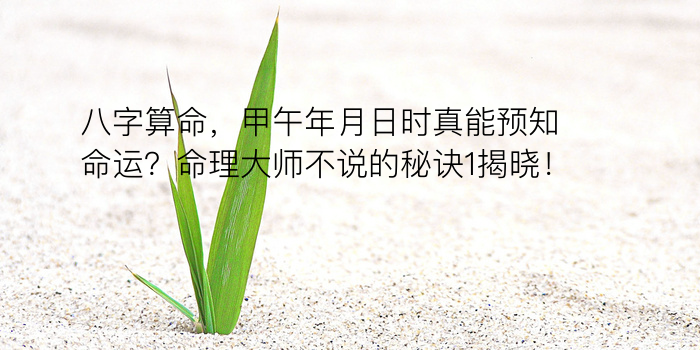 五行生辰八字游戏截图