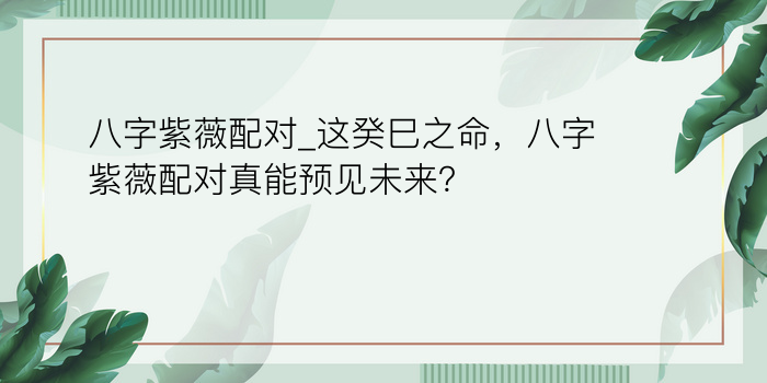 八字紫薇配对_这癸巳之命，八字紫薇配对真能预见未来？