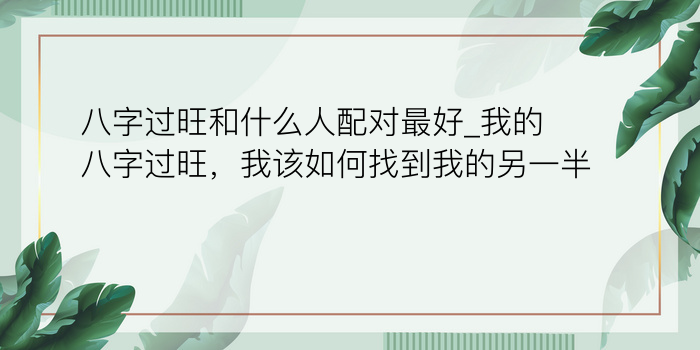 取名字生辰八字起名2023年游戏截图