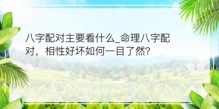 八字配对主要看什么_命理八字配对，相性好坏如何一目了然？