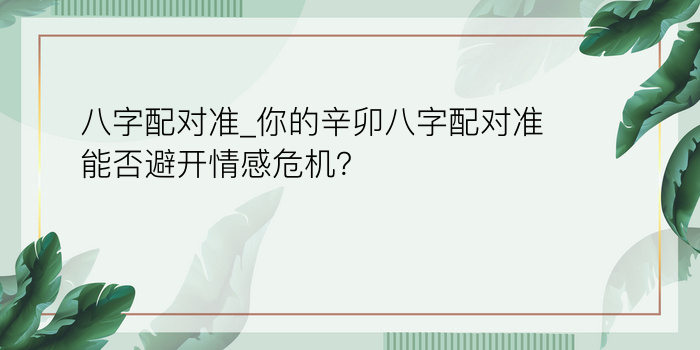 查八字起名游戏截图