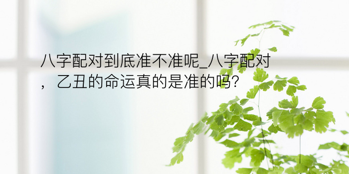 算八字运程游戏截图