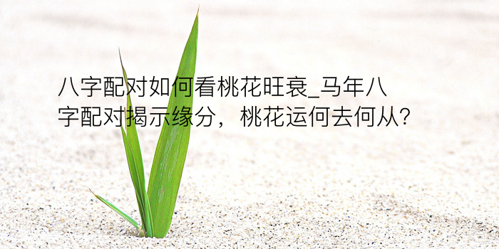 称骨算命解析游戏截图