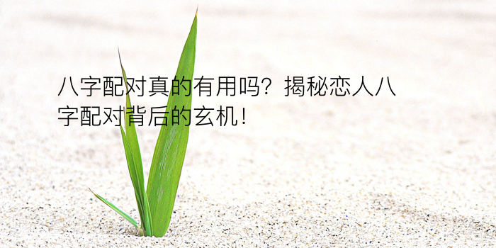 八字测运程游戏截图