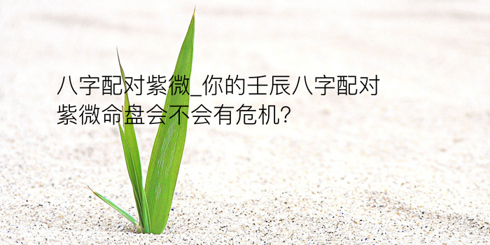 八字配对紫微_你的壬辰八字配对紫微命盘会不会有危机？