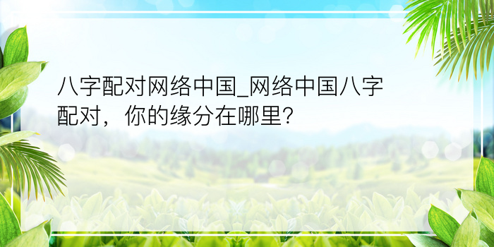 八字配对网络中国_网络中国八字配对，你的缘分在哪里？