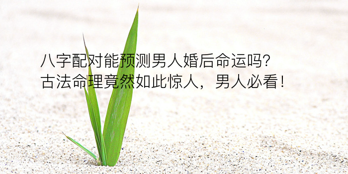 生辰八字五行缺游戏截图