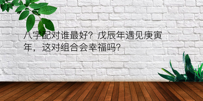 八字配对谁最好？戊辰年遇见庚寅年，这对组合会幸福吗？