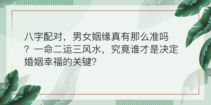 在线八字起名游戏截图