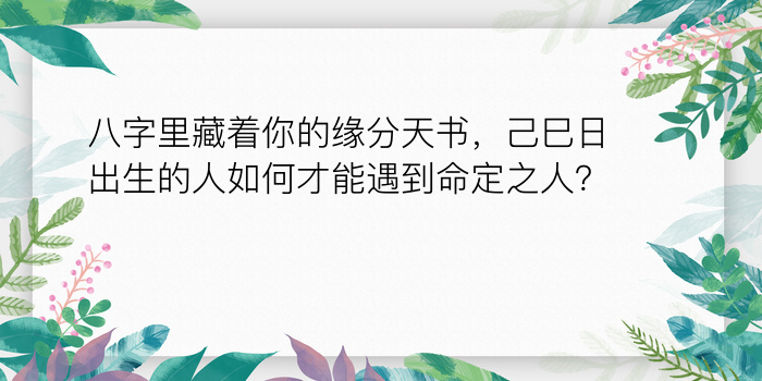 八字运程2030游戏截图