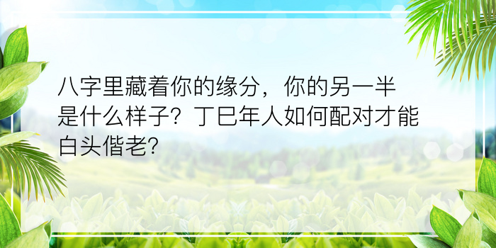 运程今年八字游戏截图