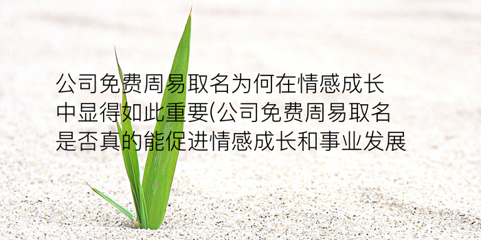 周易八字取名打分游戏截图