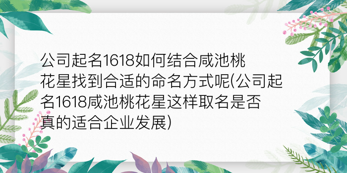 二零二算运网