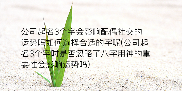 宝宝起名许游戏截图