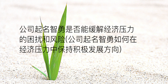 周易取名方法游戏截图