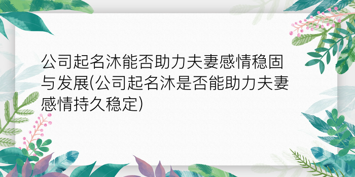 公司起名沐能否助力夫妻感情稳固与发展(公司起名沐是否能助力夫妻感情持久稳定)