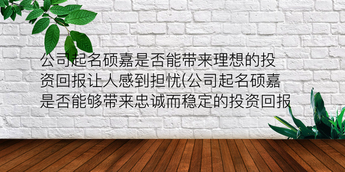 公司起名硕嘉是否能带来理想的投资回报让人感到担忧(公司起名硕嘉是否能够带来忠诚而稳定的投资回报)